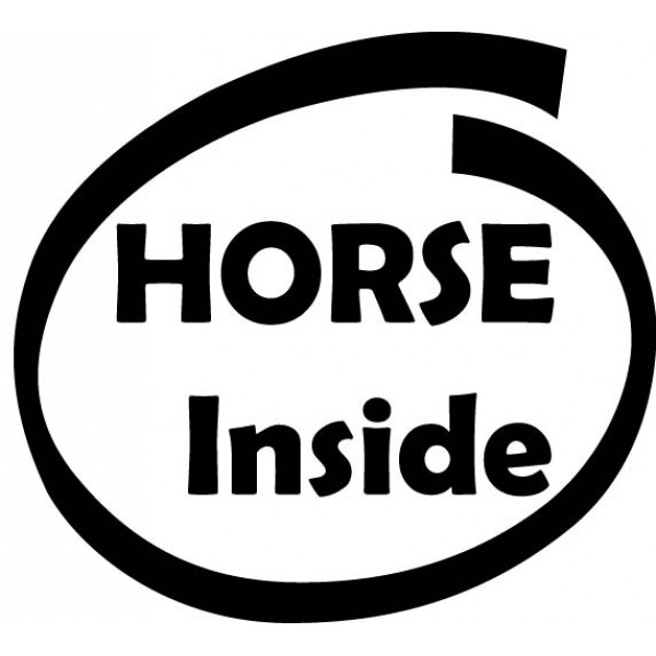 Horse inside